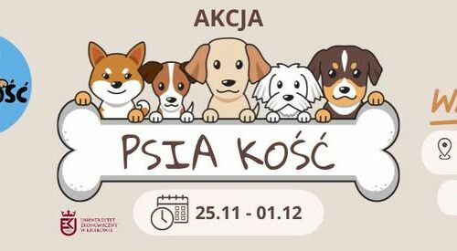 Psia Kość